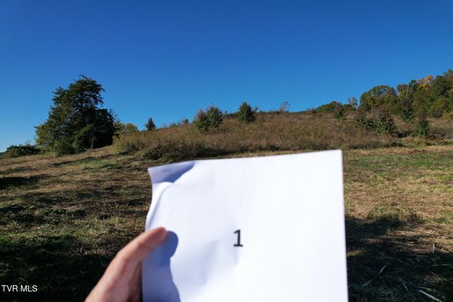 Lot 1 Burkey Road, Greeneville, TN 37743