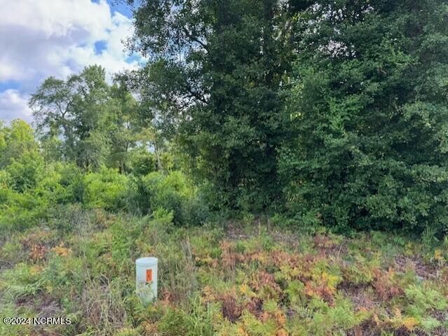 Tract A Leland School Road, Leland, NC 28451