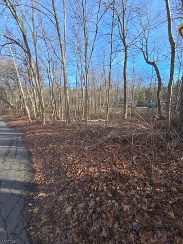 0 Linwood Rd, West Milford Twp., NJ 07421