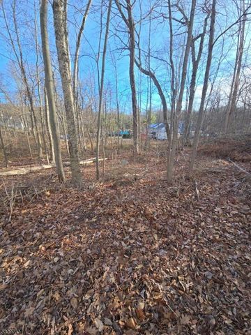 0 Linwood Rd, West Milford Twp., NJ 07421