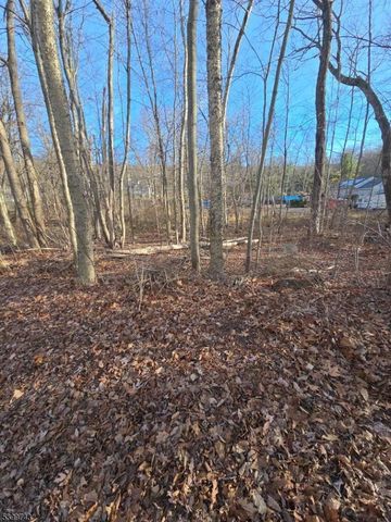 0 Linwood Rd, West Milford Twp., NJ 07421