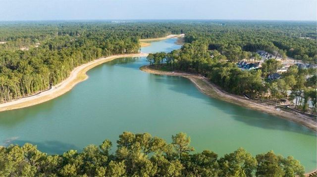 22511 Boyden Cavern Court, Porter, TX 77365