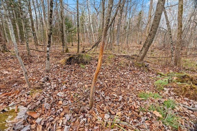 13593 MORGAN ROAD, Gillett, WI 54124