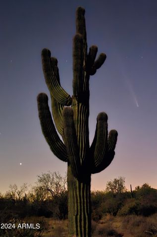 32XXX N 162ND Street F, Scottsdale, AZ 85262