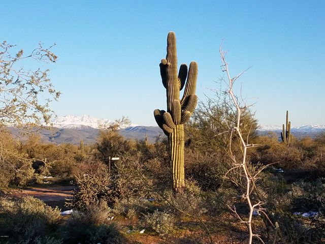 32XXX N 162ND Street F, Scottsdale, AZ 85262