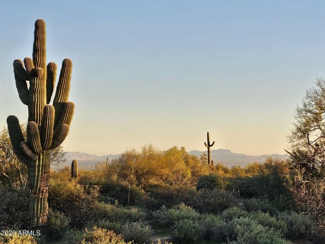 32XXX N 162ND Street F, Scottsdale, AZ 85262