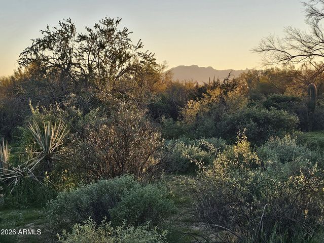 32XXX N 162ND Street F, Scottsdale, AZ 85262