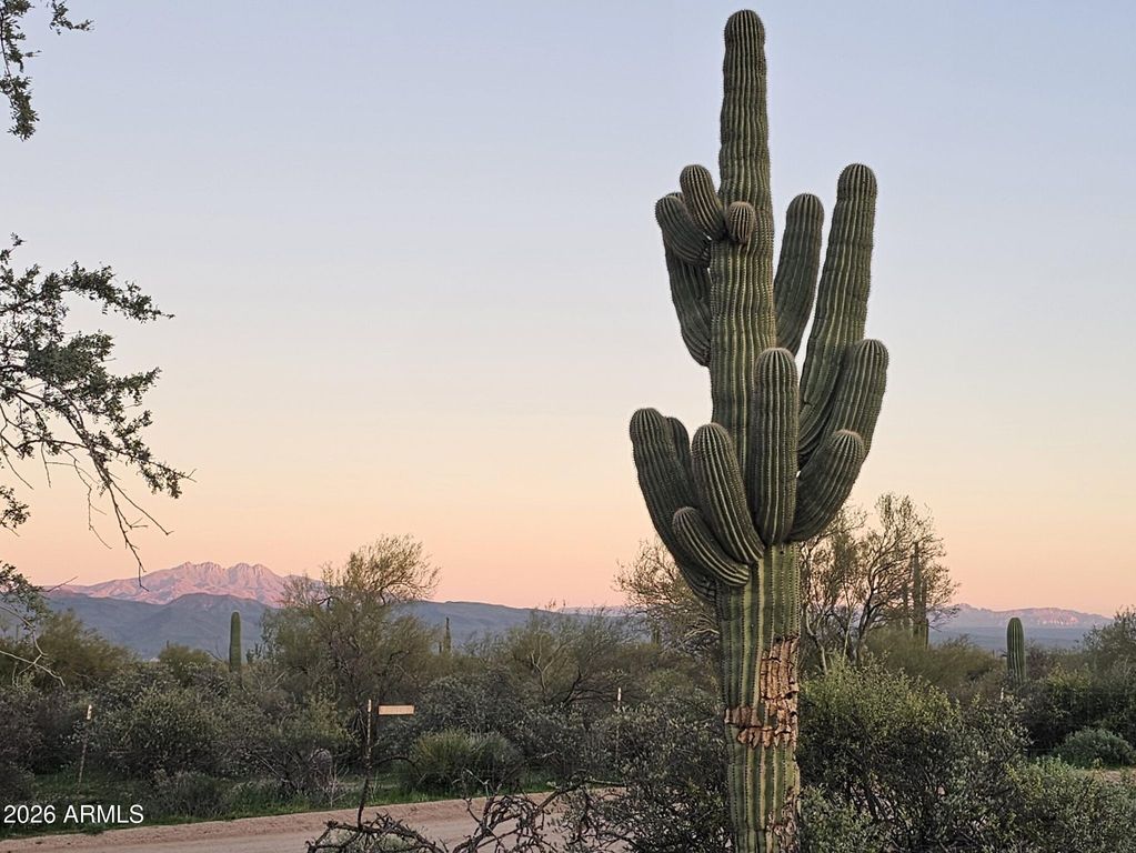 32XXX N 162ND Street F, Scottsdale, AZ 85262