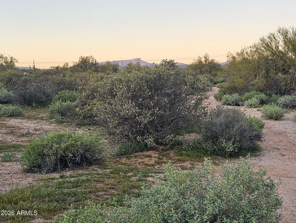32XXX N 162ND Street F, Scottsdale, AZ 85262 — photo 3