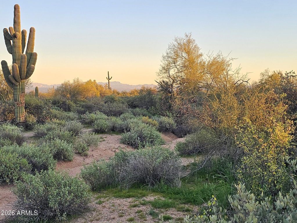 32XXX N 162ND Street F, Scottsdale, AZ 85262 — photo 5