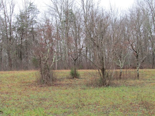 171 Sheep Ranch Rd, Altamont, TN 37301