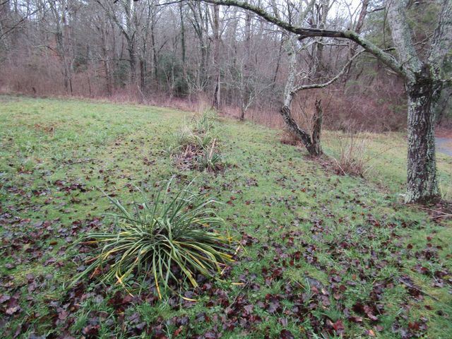 171 Sheep Ranch Rd, Altamont, TN 37301