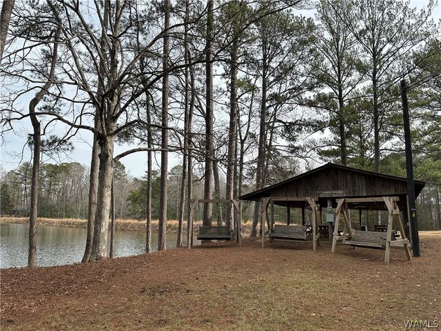 14408 Lake Wildwood, Cottondale, AL 35453