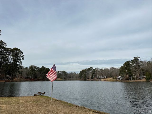 14408 Lake Wildwood, Cottondale, AL 35453