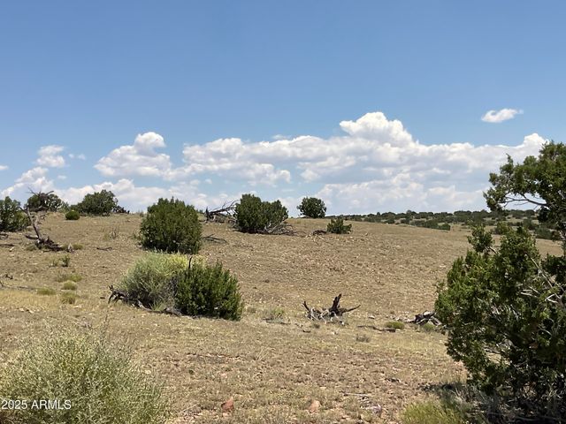 61 COUNTY ROAD N6379 --, St Johns, AZ 85936