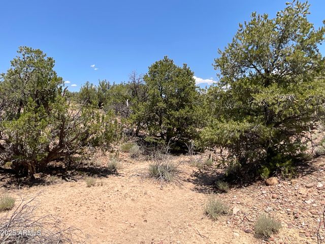 61 COUNTY ROAD N6379 --, St Johns, AZ 85936