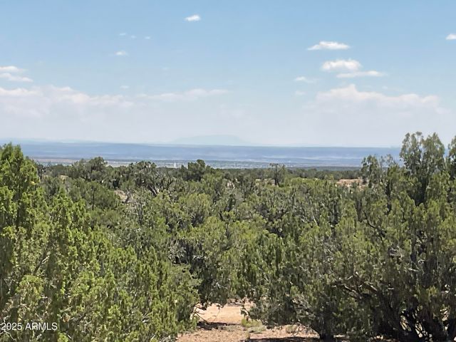 61 COUNTY ROAD N6379 --, St Johns, AZ 85936