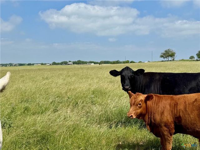 12 Acres Smith Dairy RD, Belton, TX 76513