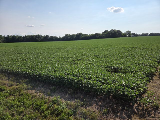 0 Power Station Rd, Taft, TN 38488
