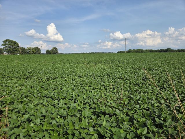 0 Power Station Rd, Taft, TN 38488
