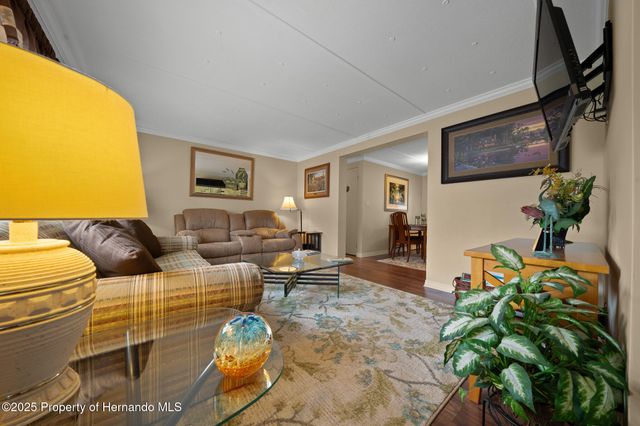 6448 W Richard Drive, Weeki Wachee, FL 34607