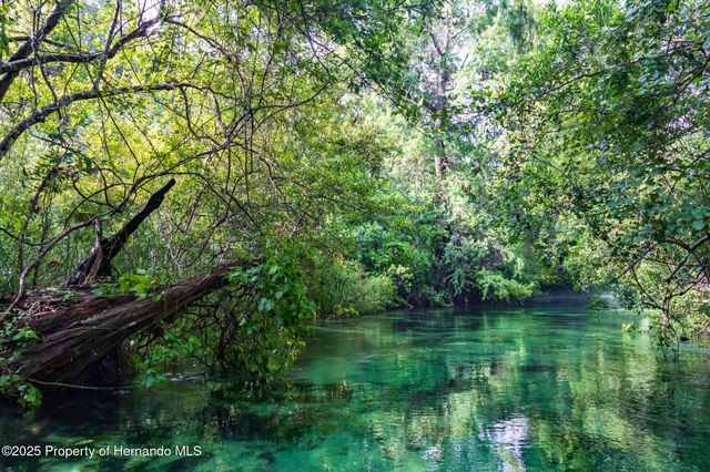 6448 W Richard Drive, Weeki Wachee, FL 34607