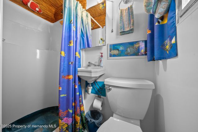 6448 W Richard Drive, Weeki Wachee, FL 34607