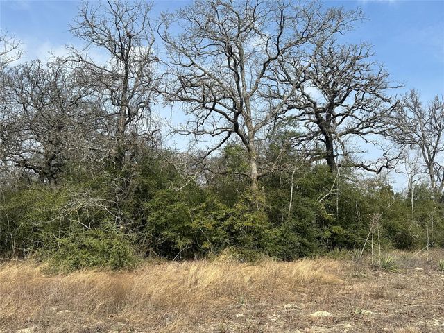 11AC Hwy 79 East, Buffalo, TX 75831