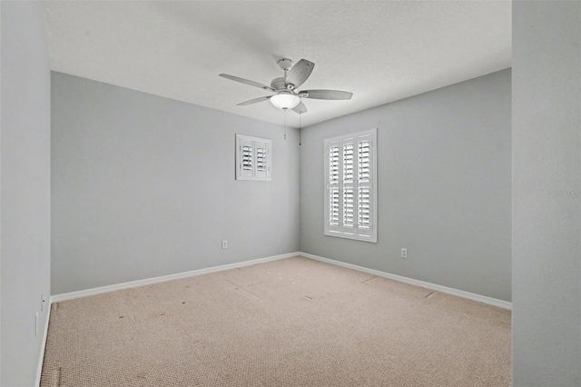 301 FERN GULLEY DRIVE, Seffner, FL 33584