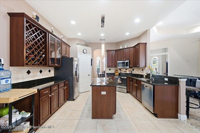 13519 Barkingside Place, Brooksville, FL 34609