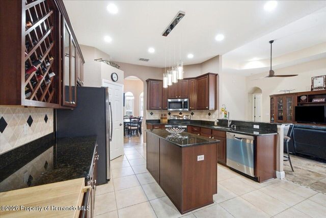 13519 Barkingside Place, Brooksville, FL 34609