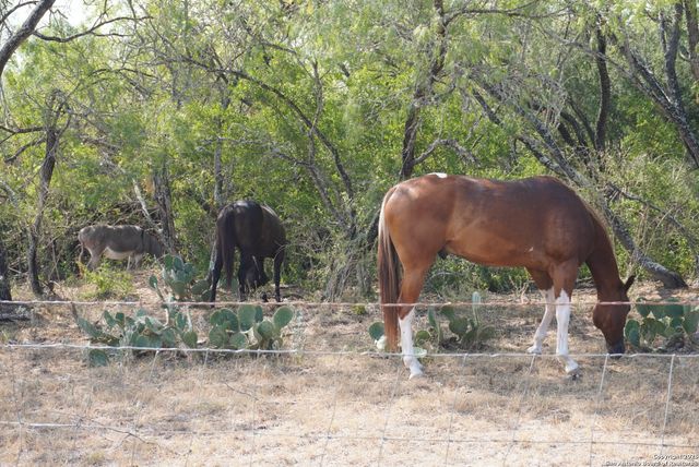 777 County Line, San Antonio, TX 78223