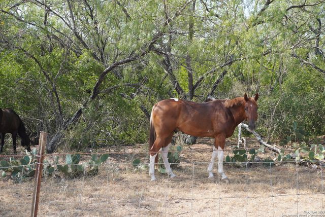 777 County Line, San Antonio, TX 78223