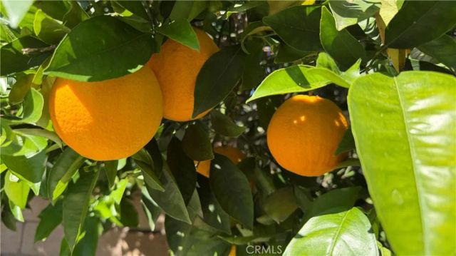 27426 Sereno, Mission Viejo, CA 92691