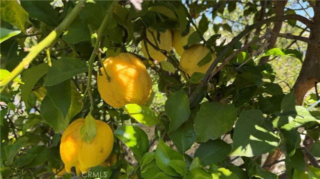 27426 Sereno, Mission Viejo, CA 92691