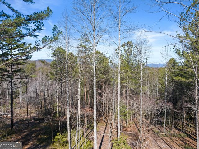 3382 Lickskillet Road, Epworth, GA 30541