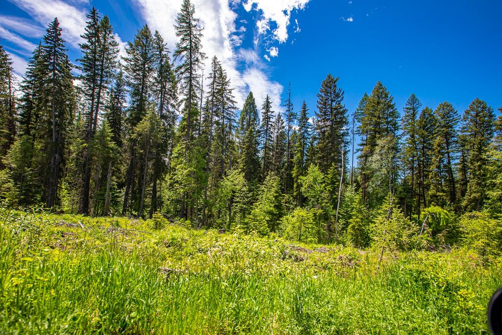 6825 Hwy 93 N, Olney, MT 59927 photo 21