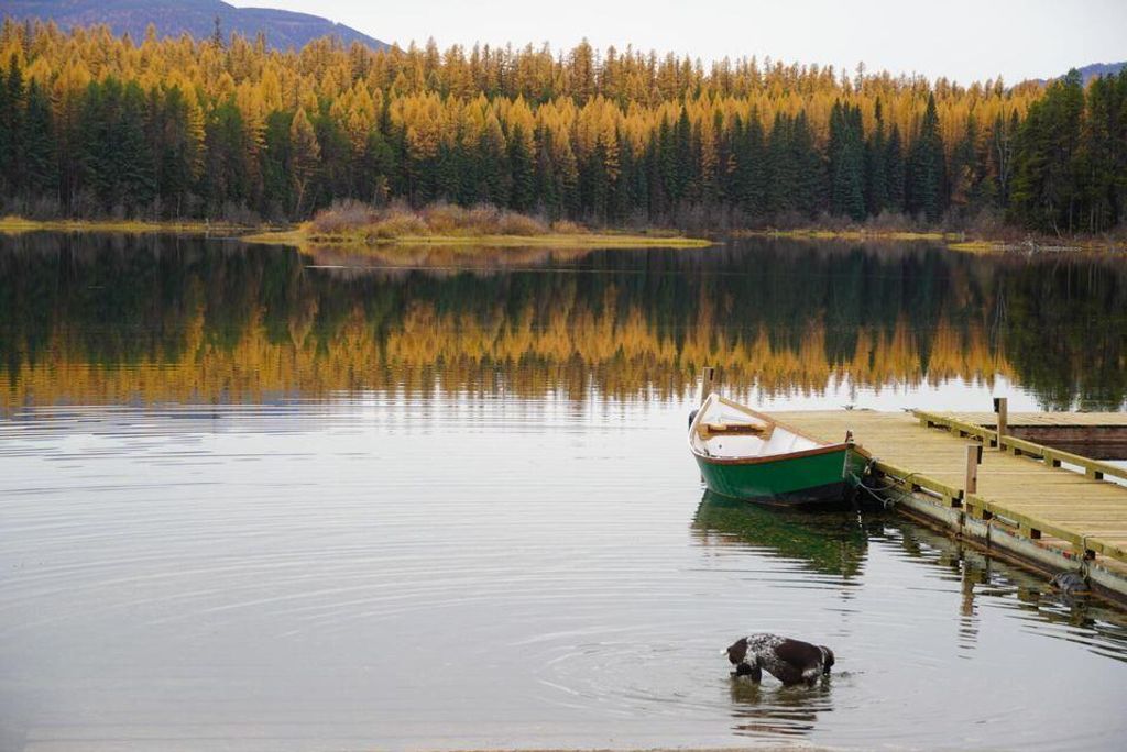 6825 Hwy 93 N, Olney, MT 59927 photo 31