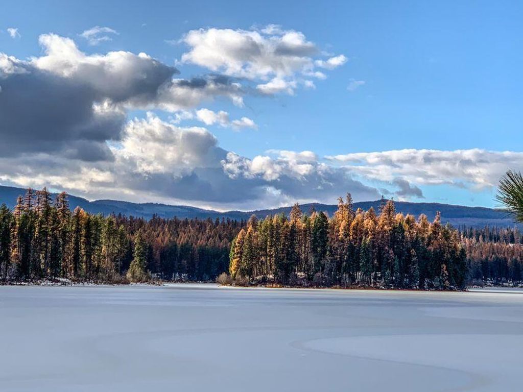 6825 Hwy 93 N, Olney, MT 59927 photo 33