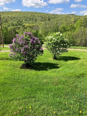 540 Lewis Road, Tompkins, NY 13856