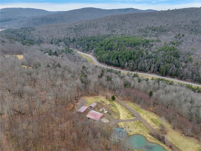 540 Lewis Road, Tompkins, NY 13856