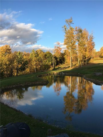 540 Lewis Road, Tompkins, NY 13856