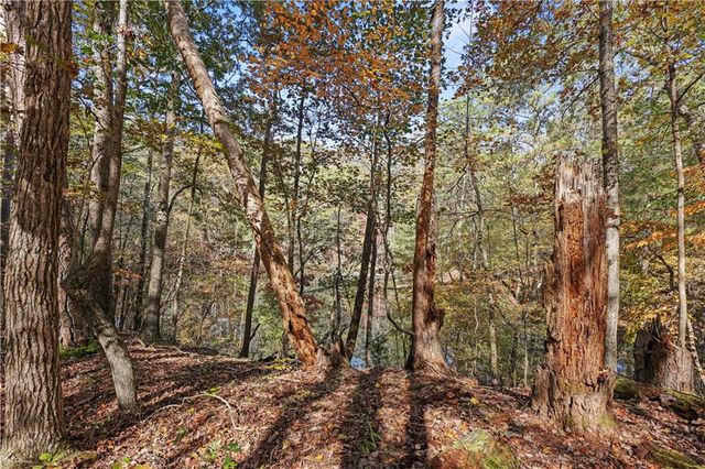 0 Carson Graves Road, Watkinsville, GA 30677