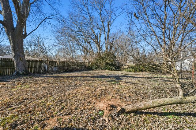 1007 N Park Avenue, Springfield, MO 65802