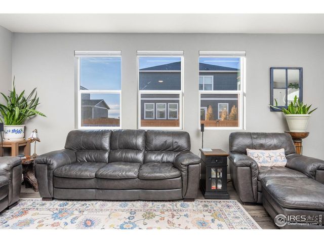 3725 Catmint St, Wellington, CO 80549