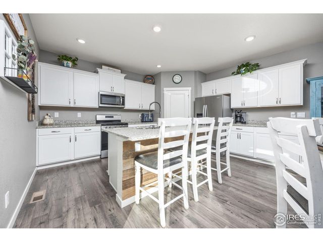 3725 Catmint St, Wellington, CO 80549