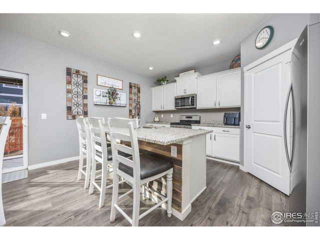 3725 Catmint St, Wellington, CO 80549