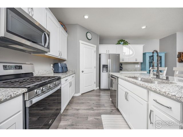 3725 Catmint St, Wellington, CO 80549