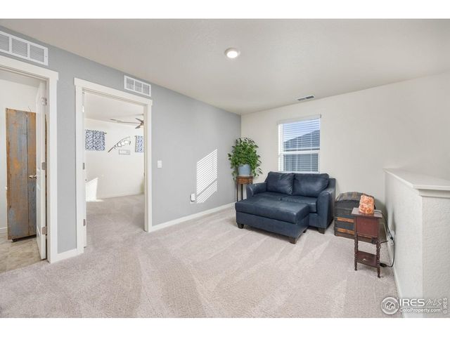 3725 Catmint St, Wellington, CO 80549