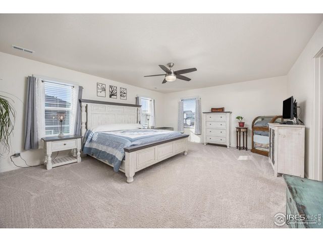 3725 Catmint St, Wellington, CO 80549